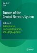 Tumors of the Central Nervous System,... - Bild 1