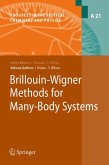 Brillouin-Wigner Methods for Many-Body Systems (eBook, PDF)