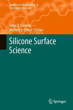 Silicone Surface Science (eBook, PDF)