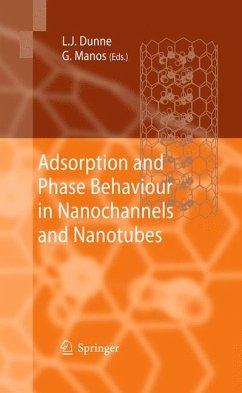 Adsorption and Phase Behaviour in Nanochannels and Nanotubes (eBook, PDF)