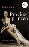 Provinzprinzen (eBook, ePUB)