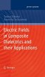 Electric Fields in Composite... - Bild 1