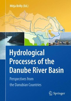 Hydrological Processes of the Danube River Basin (eBook, PDF)