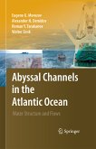 Abyssal Channels in the Atlantic Ocean (eBook, PDF)