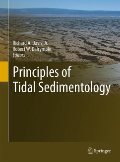 Principles of Tidal Sedimentology (eBook, PDF) Cover Principles of Tidal Sedimentology (eBook, PDF)