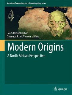 Modern Origins (eBook, PDF)