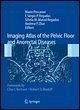 Imaging Atlas of the Pelvic Floor and... - Bild 1