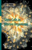 Stem Cells in Marine Organisms (eBook, PDF)