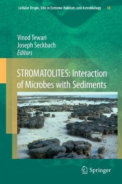 STROMATOLITES: Interaction of Microbes with Sediments (eBook, PDF)