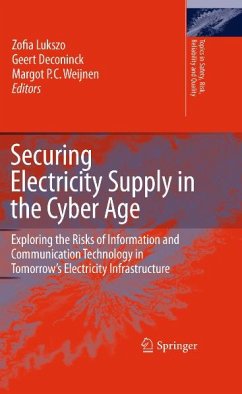 Securing Electricity Supply in the Cyber Age (eBook, PDF)