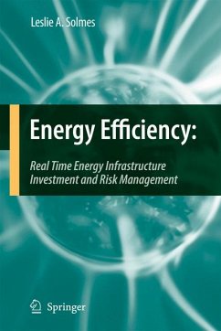 Energy Efficiency (eBook, PDF) - Solmes, Leslie A.
