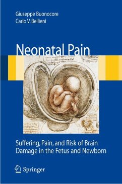 Neonatal Pain (eBook, PDF)