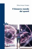 Il bizzarro mondo dei quanti (eBook, PDF)