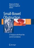 Small-Bowel Obstruction (eBook, PDF)