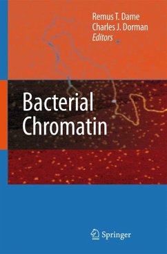 Bacterial Chromatin (eBook, PDF)