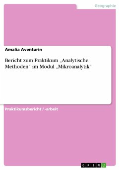 Bericht zum Praktikum &quote;Analytische Methoden&quote; im Modul &quote;Mikroanalytik&quote; (eBook, PDF)