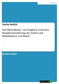 Die Plattenfirma - ein Vergleich zwischen Kundenorientierung der Labels und Bedürfnissen von Bands (eBook, PDF)