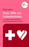 Erste Hilfe bei Liebeskummer (eBook, ePUB)
