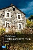 Tropfen auf kalten Stein (eBook, ePUB)