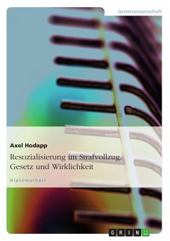 Resozialisierung im Strafvollzug. Gesetz und Wirklichkeit (eBook, PDF) - Hodapp, Axel