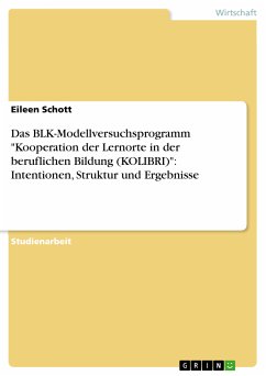 Das BLK-Modellversuchsprogramm &quote;Kooperation der Lernorte in der beruflichen Bildung (KOLIBRI)&quote;: Intentionen, Struktur und Ergebnisse (eBook, PDF)