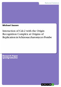 Interaction of Cdc2 with the Origin Recognition Complex at Origins of Replication in Schizosaccharomyces Pombe (eBook, PDF)