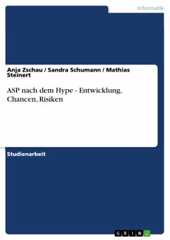 ASP nach dem Hype - Entwicklung, Chancen, Risiken (eBook, ePUB) - Zschau, Anja; Schumann, Sandra; Steinert, Mathias
