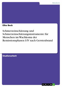 Schmerzeinschätzung und Schmerzeinschätzungsinstrumente für Menschen im Wachkoma der Remissionsphasen I-IV nach Gerstenbrand (eBook, PDF)