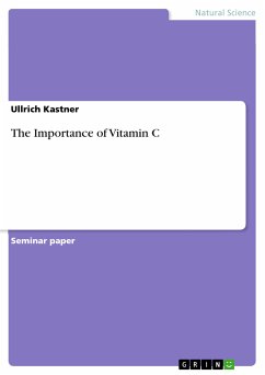 The Importance of Vitamin C (eBook, ePUB) - Kastner, Ullrich