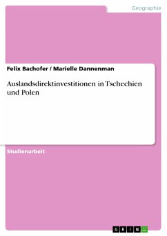 Auslandsdirektinvestitionen in Tschechien und Polen (eBook, PDF)