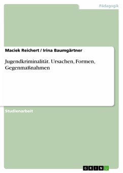 Jugendkriminalität. Ursachen, Formen, Gegenmaßnahmen (eBook, PDF) - Reichert, Maciek; Baumgärtner, Irina