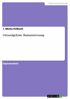 Ortsaufgelöste Ramanstreuung (eBook, PDF)