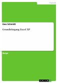 Grundlehrgang Excel XP (eBook, ePUB)