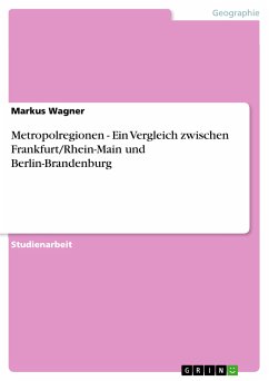 Metropolregionen - Ein Vergleich zwischen Frankfurt/Rhein-Main und Berlin-Brandenburg (eBook, PDF)