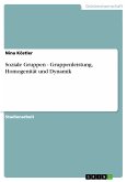 Soziale Gruppen - Gruppenleistung, Homogenität und Dynamik (eBook, PDF)