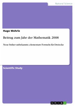 Beitrag zum Jahr der Mathematik 2008 (eBook, PDF)