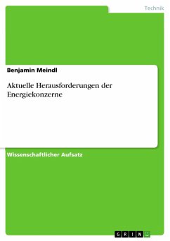 Aktuelle Herausforderungen der Energiekonzerne (eBook, PDF) - Meindl, Benjamin