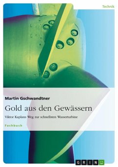 Gold aus den Gewässern (eBook, PDF)