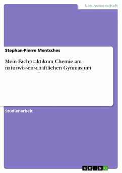 Mein Fachpraktikum Chemie am naturwissenschaftlichen Gymnasium (eBook, PDF)