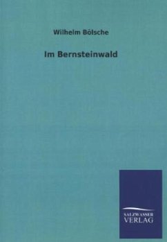 Im Bernsteinwald - Bölsche, Wilhelm