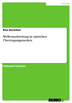 Wellenausbreitung in optischen Übertragungsmedien (eBook, PDF)