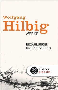 Erzählungen und Kurzprosa / Wolfgang Hilbig Werke Bd.2 (eBook, ePUB) - Hilbig, Wolfgang