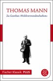 Zu Goethes »Wahlverwandtschaften« (eBook, ePUB)