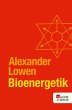 Bioenergetik (eBook, ePUB) - Bild 1