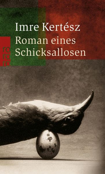 Roman eines Schicksallosen (eBook, ePUB)