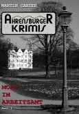 Mord im Arbeitsamt (eBook, ePUB)