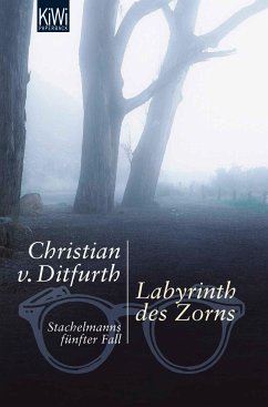 Labyrinth des Zorns / Stachelmann Bd.5 (eBook, ePUB) - Ditfurth, Christian von