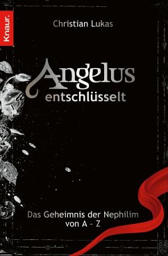 Angelus entschlüsselt (eBook, ePUB) - Lukas, Christian