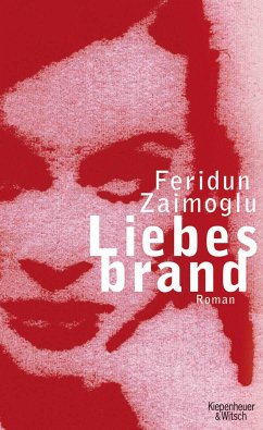Liebesbrand (eBook, ePUB) - Zaimoglu, Feridun