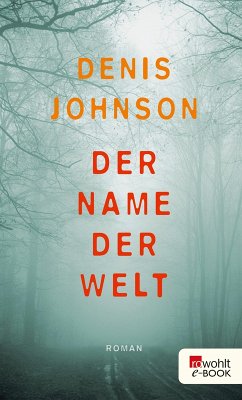 Der Name der Welt (eBook, ePUB) - Johnson, Denis